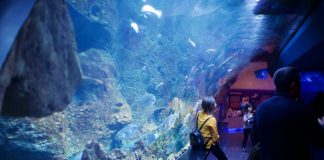 Best Aquariums and Zoos in New York