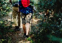 Best Hiking Trails in New York