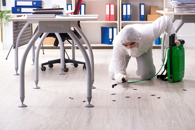 Best Pest Control Companies in Los Angeles