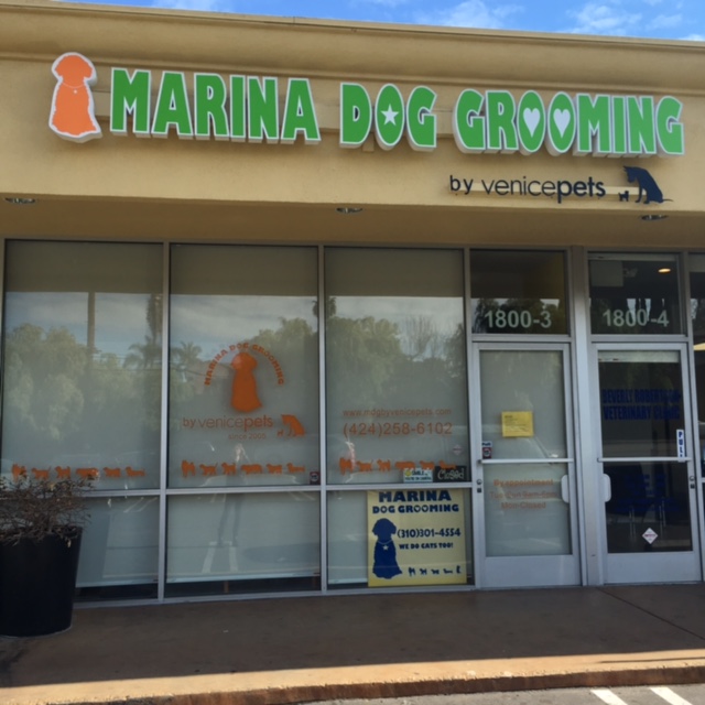 Marina dog grooming by Venicepets
