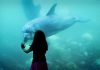 Best Aquariums and Zoos in Dallas