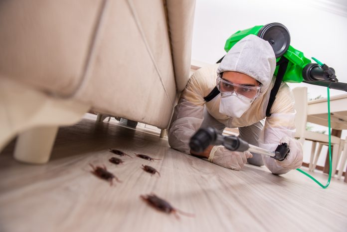 Best Pest Control Companies in Chicago