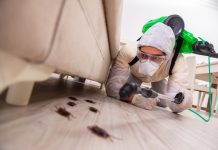 5 Best Pest Control Companies in San Jose