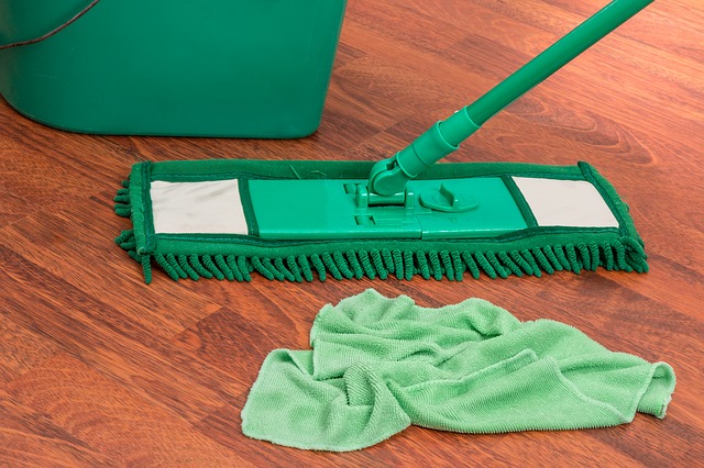 6 Best House Cleaning Services in Chicago - Top House Cleaning Services