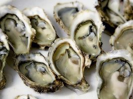 5 Best Seafood Restaurants in San Jose