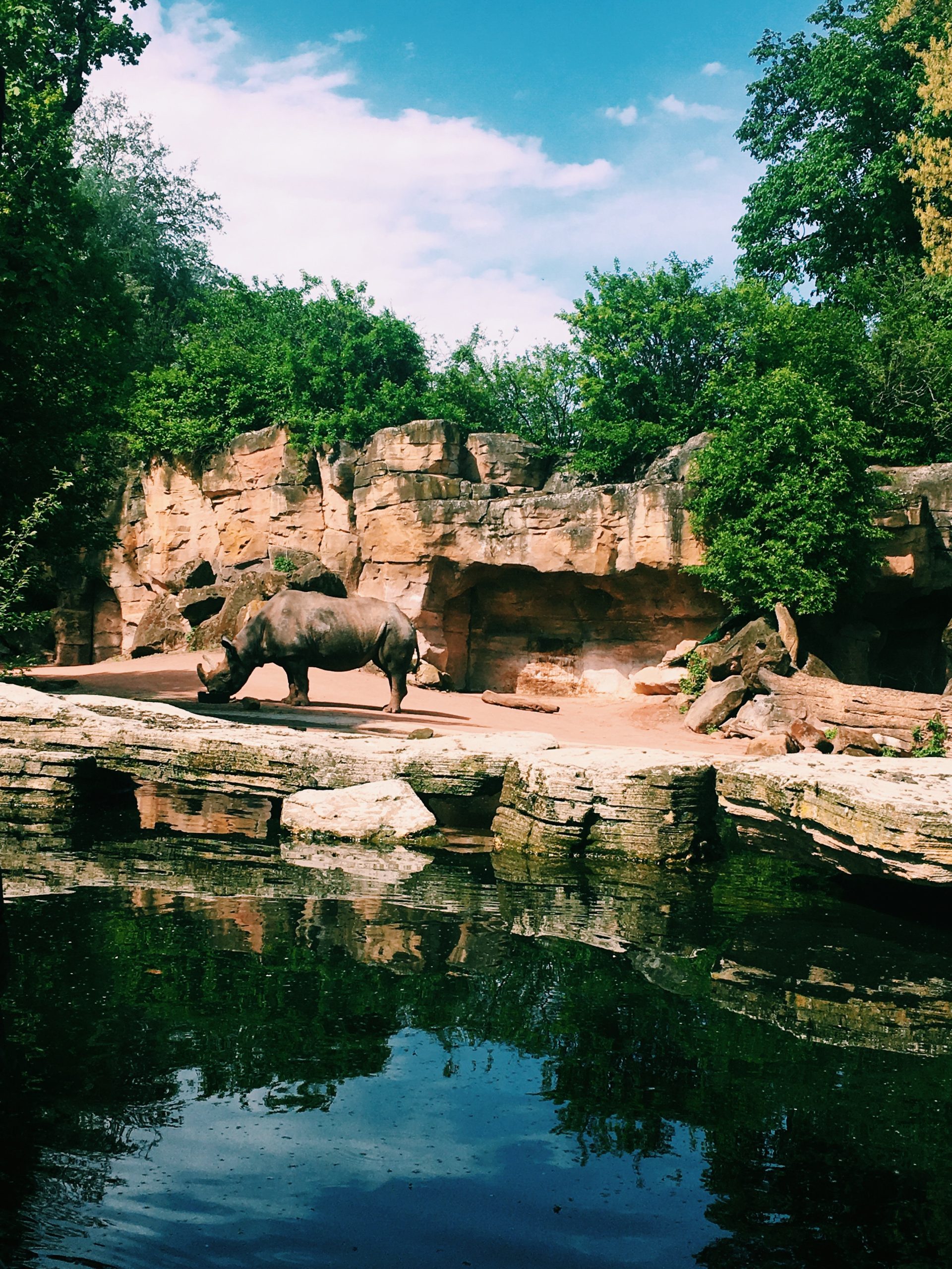 5 Best Aquariums And Zoos In Fort Worth