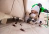 5 Best Pest Control in Charlotte