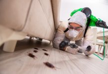 5 Best Pest Control in Charlotte
