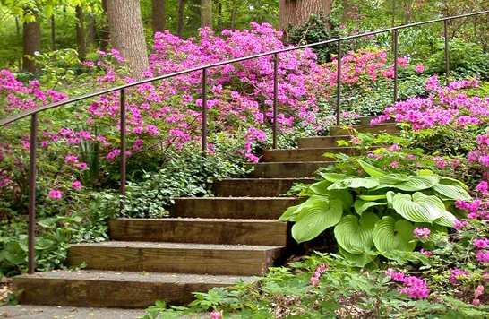 5 Best Landscaping Companies in Indianapolis磊