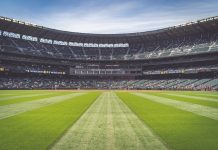 5 Best Stadiums in Phoenix