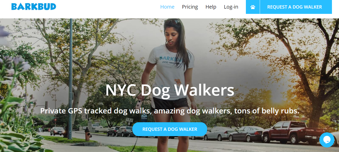 nyc dog walkers
