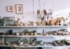 5 Best Pottery Shops in Fort Worth
