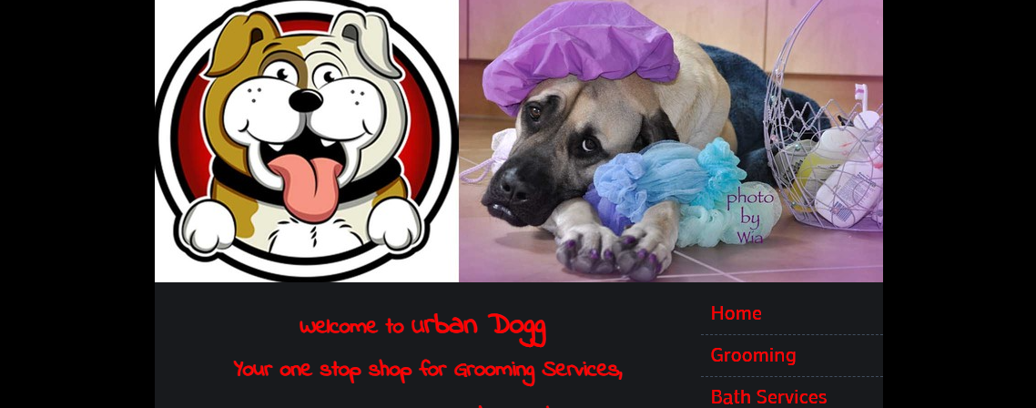 5 Best Dog Grooming in Dallas 1