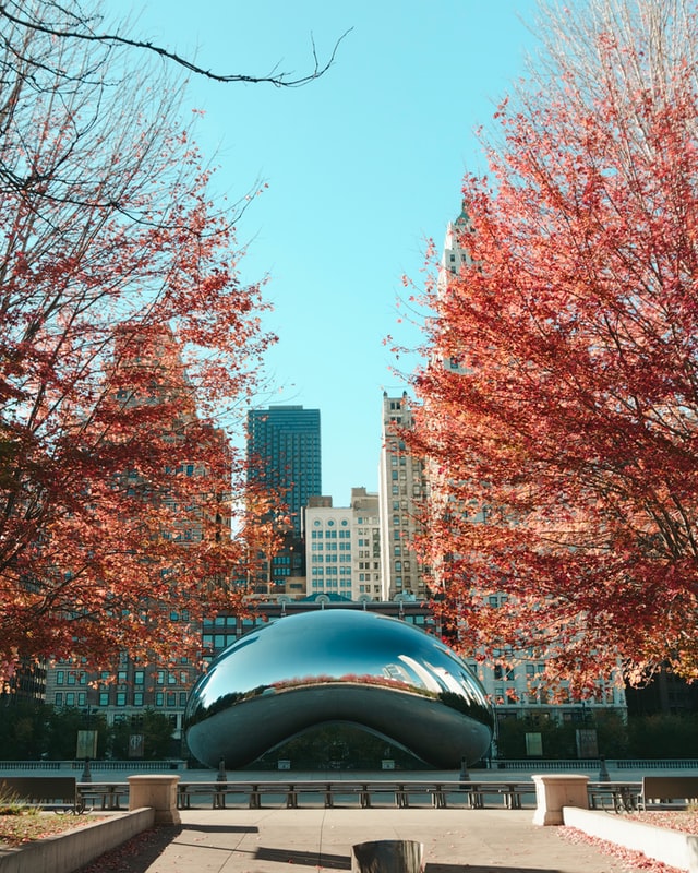 5 Best Places to Visit in Chicago