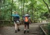 5 Best Hiking Trails in Charlotte