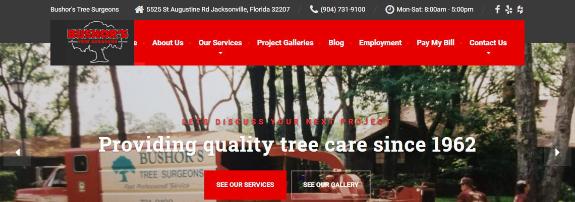 5 Best Arborists in Jacksonville5