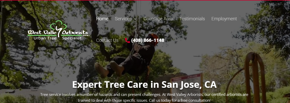 5 Best Arborists in San Jose 1