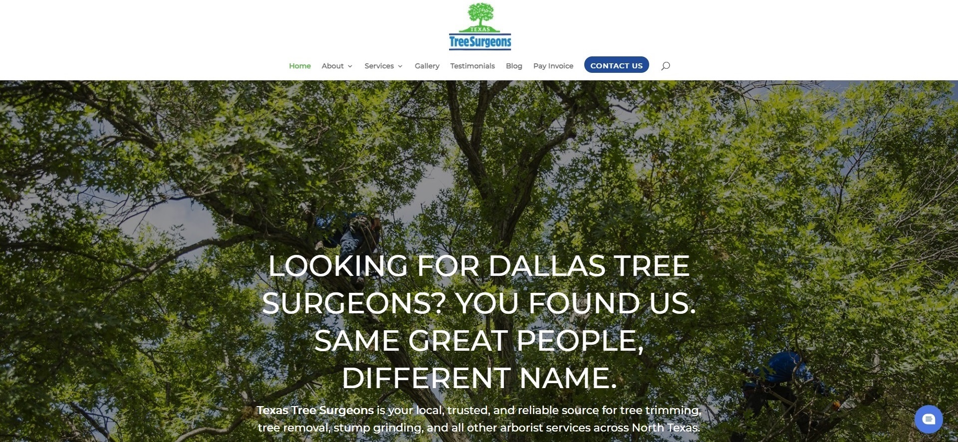 Dallas's Best Arborists