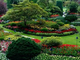 5 Best Landscaping Companies in San Diego