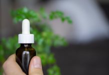 3 Best Online Stores to Buy Hemp and CBD Products