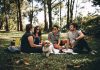 The Top 3 Best Online Stores for Outdoor Picnic and Related Products
