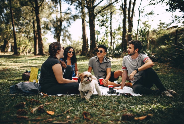 The Top 3 Best Online Stores for Outdoor Picnic and Related Products