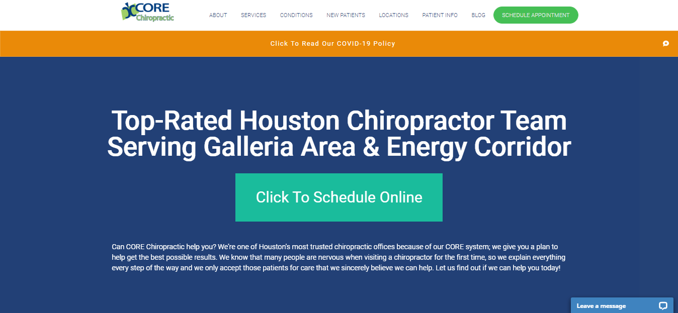 5 Best Chiropractors in Houston, Texas ONE