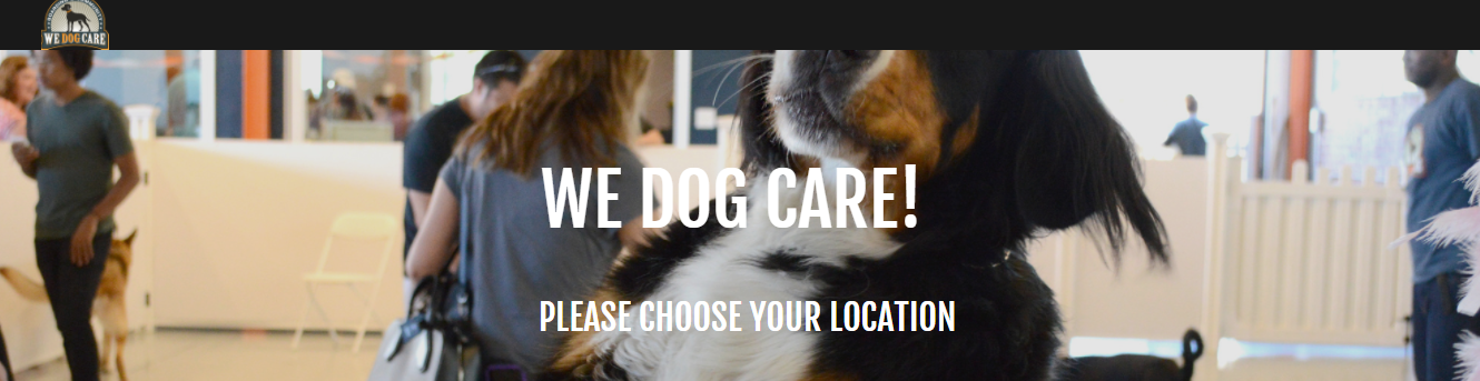 We Dog Care