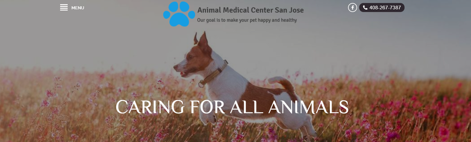 Animal Medical Center 