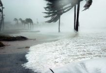 5 Best Hurricane Cleanup in Orlando, FL