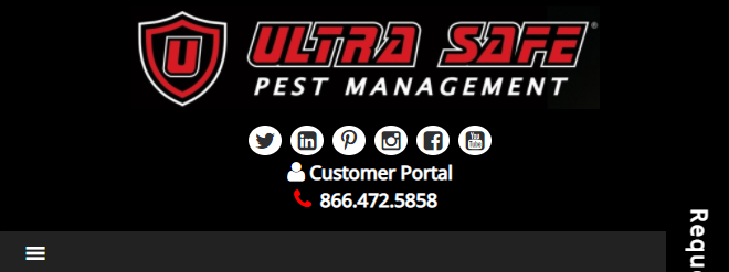 friendly Pest Control Companies in Boston