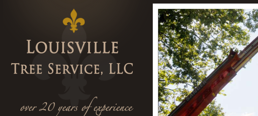 Top Tree Services in Louisville