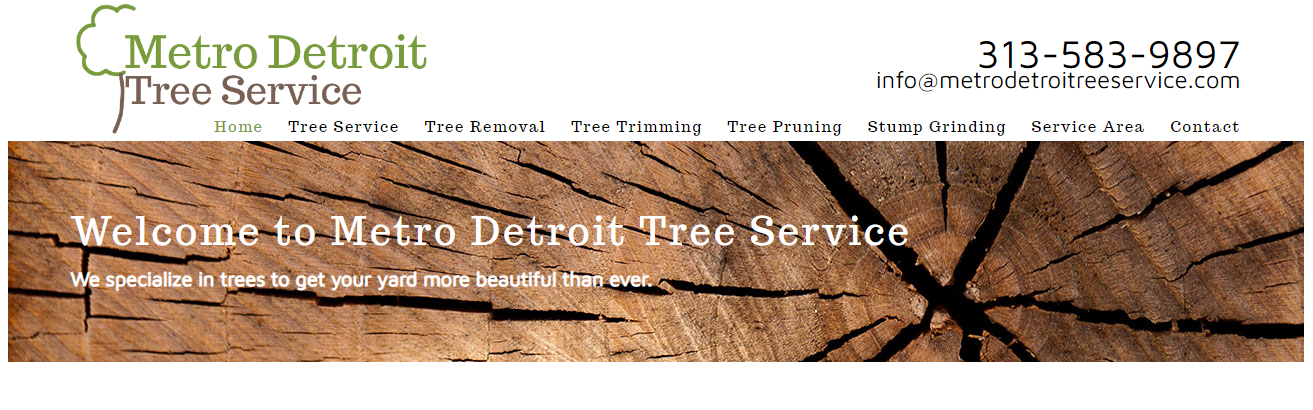 safest Best Tree Services in Detroit