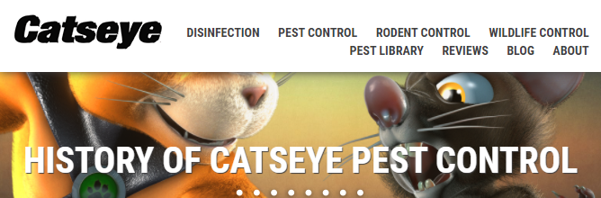 eco-friendly Pest Control Companies in Boston