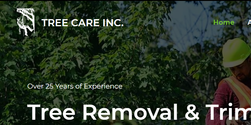 Top Tree Services in Louisville
