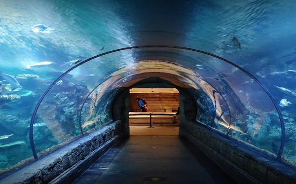 Top Aquarium/Zoos in Las Vegas
