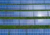 5 Best Solar Panel Maintenance
