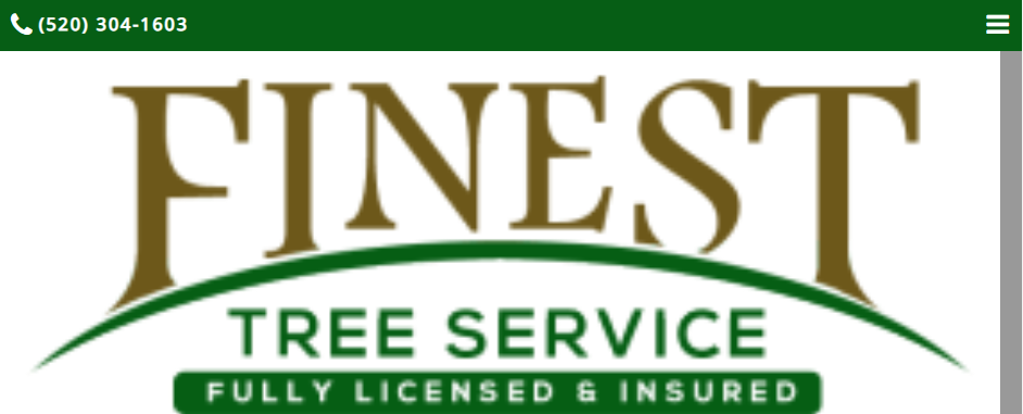 Skilled Tree Services in Tucson