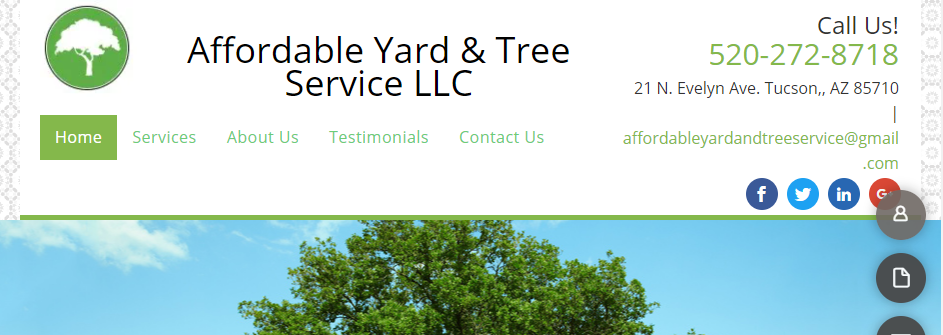 Reliable Tree Services in Tucson