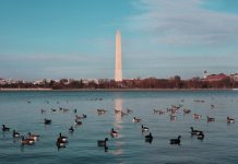 5 Best Places to Visit in Washington, DC