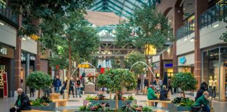 Best Shopping Centers in San Francisco, CA