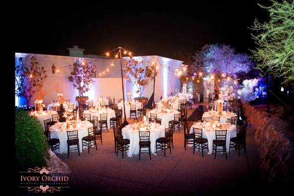 Good Party Planners in Tucson 