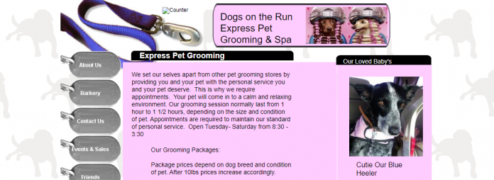 Dogs on the Run Express Pet Grooming and Spa