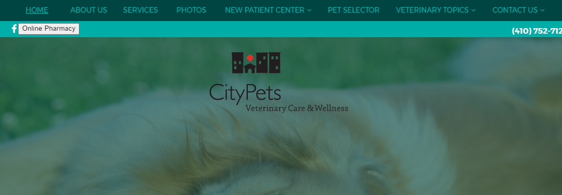 CityPets Veterinary Care and Wellness