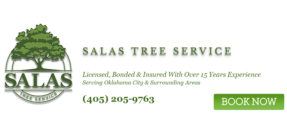 Affordable Arborists in Oklahoma City