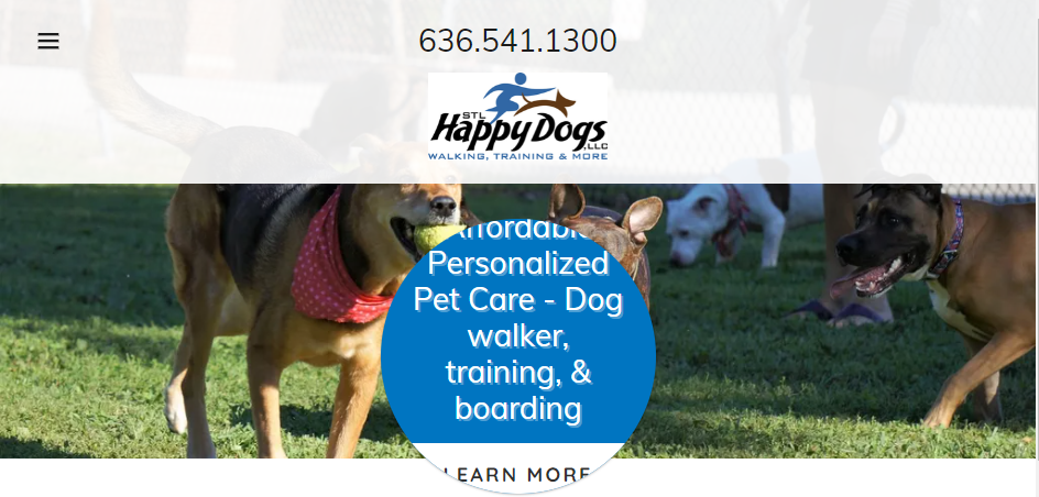 Experienced Dog Walkers in St. Louis