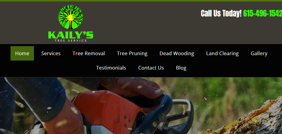 Reliable Arborists in Nashville