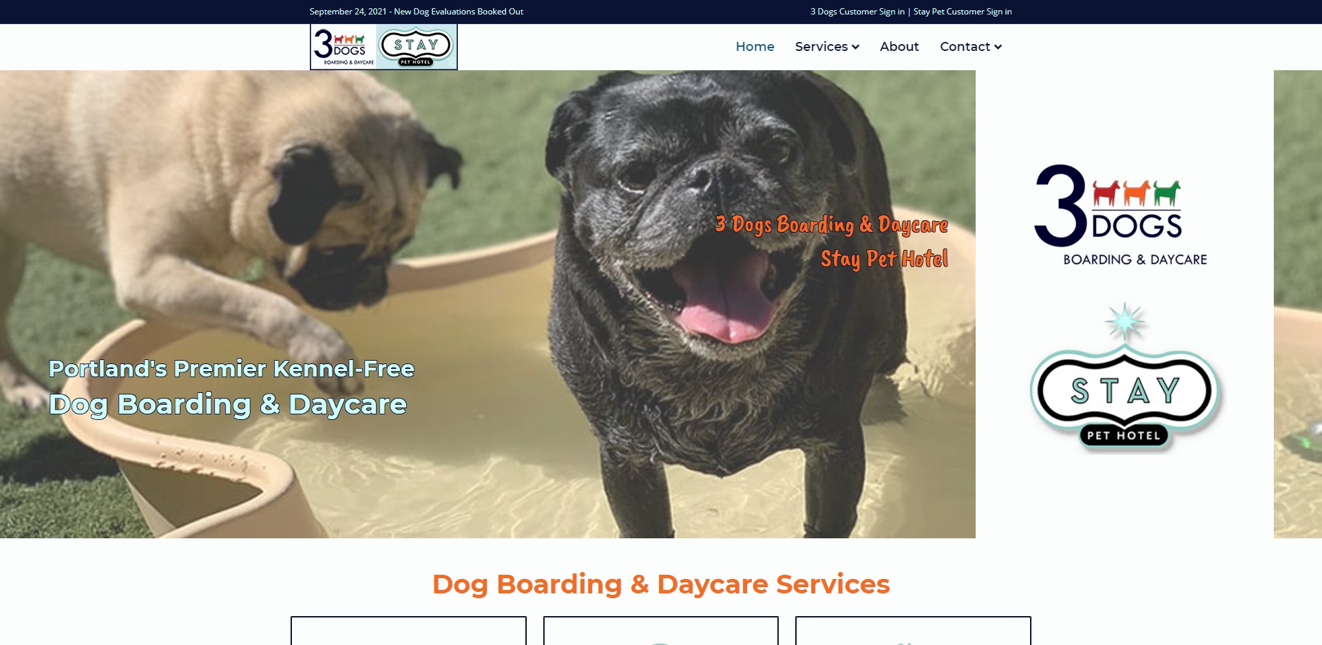 Best Doggy Day Care Centres in Portland, OR