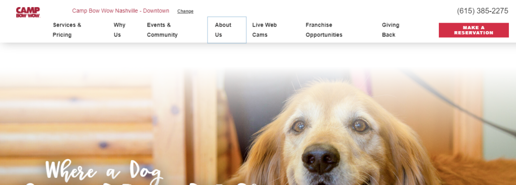 welcoming dog day care centers in Nashville, TN