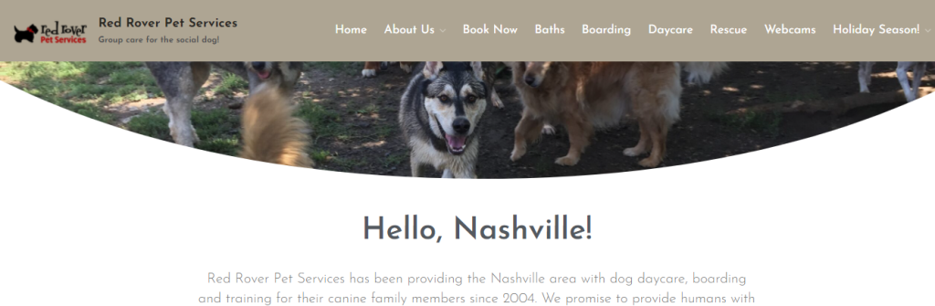Energetic Dog Daycare Centers in Nashville, TN